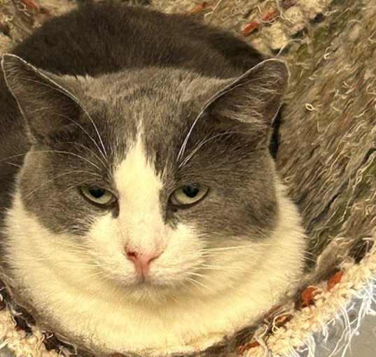 Photo of Hattie