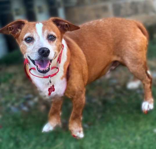 Photo of Pokey