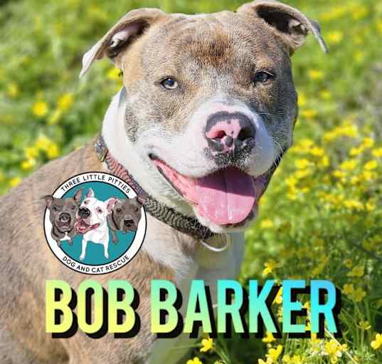 Photo of Bob Barker A Country Boy