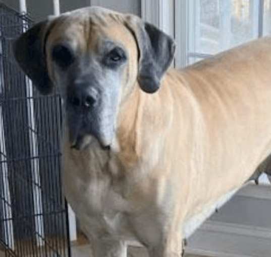 Photo of Cersei