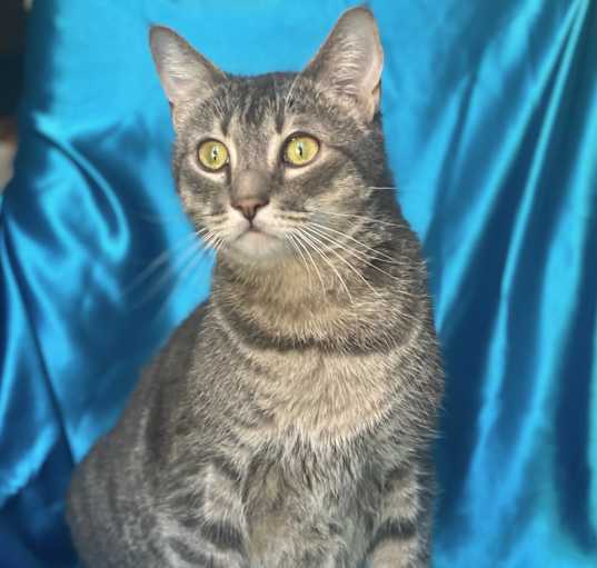 Photo of LANI