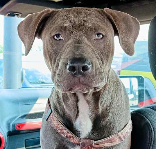 Photo of Calypso