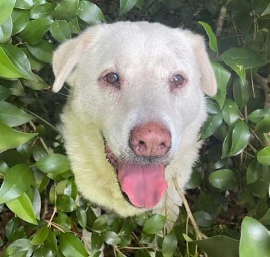 Photo of Snowbee