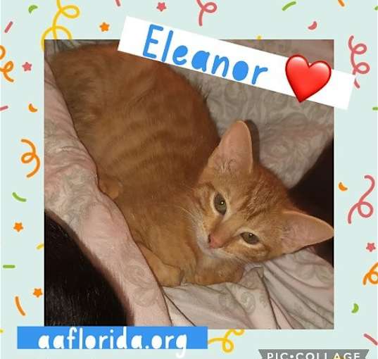 Photo of Eleanor