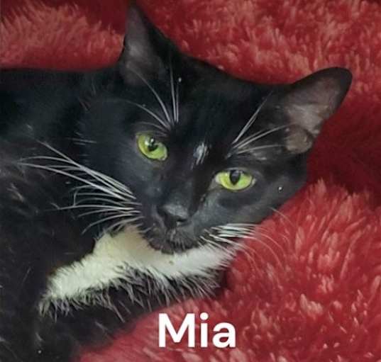 Photo of Mia