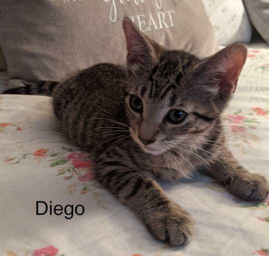 Photo of Diego