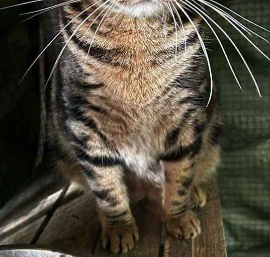 Photo of Momma Tabitha