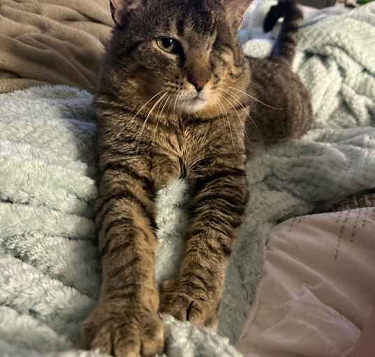 Photo of Mr. Tom