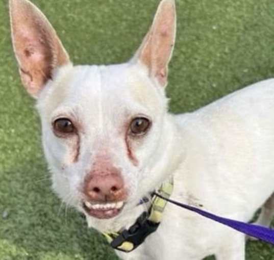 Photo of Zeke
