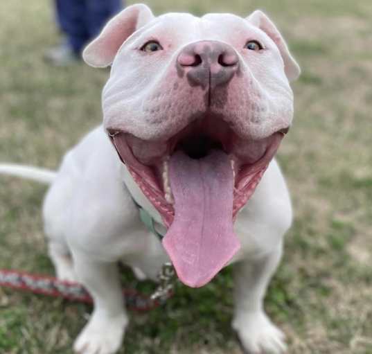 Photo of Zeus