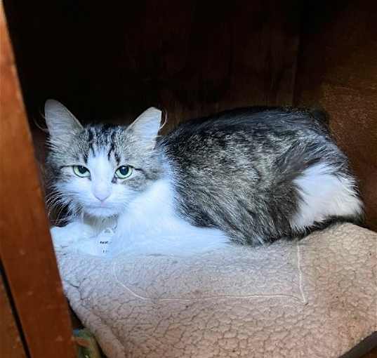 Photo of Madeline