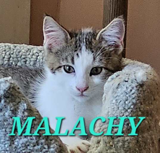 Photo of Malachy