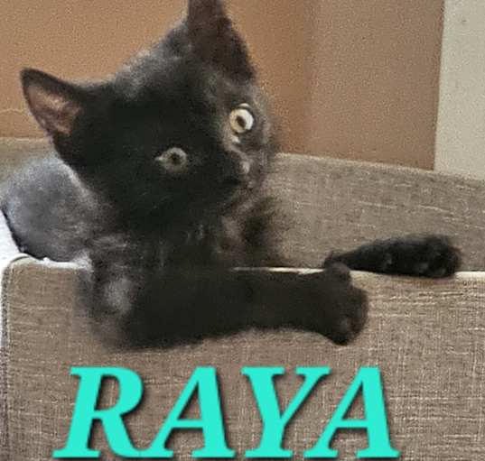 Photo of Raya