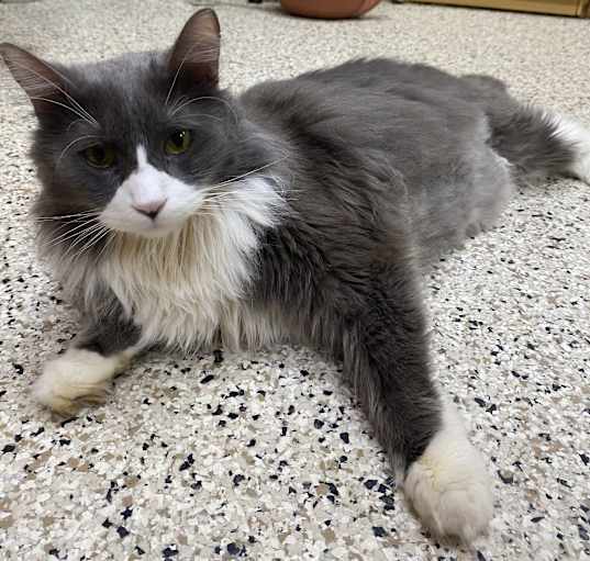 Photo of FINN