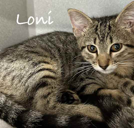 Photo of Loni