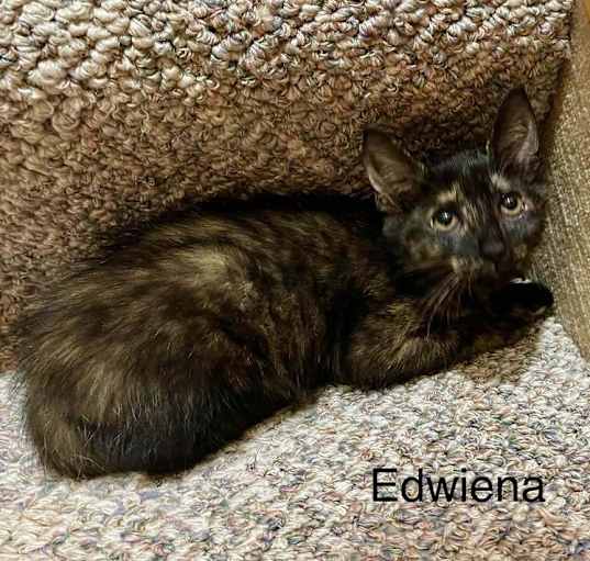 Photo of Edwina