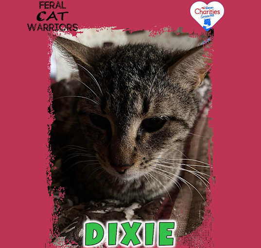 Photo of Dixie