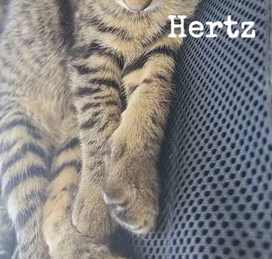 Photo of Hertz