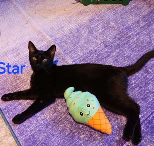 Photo of Star