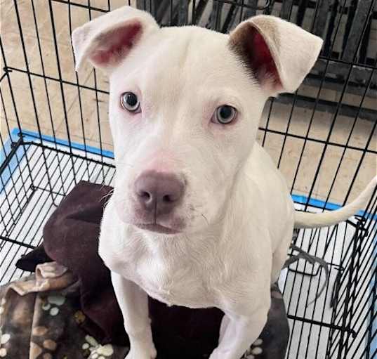 Photo of Lena (GA)