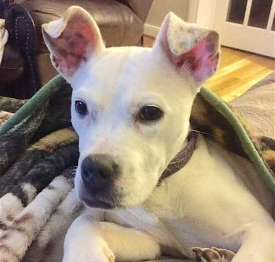 Photo of Cloud