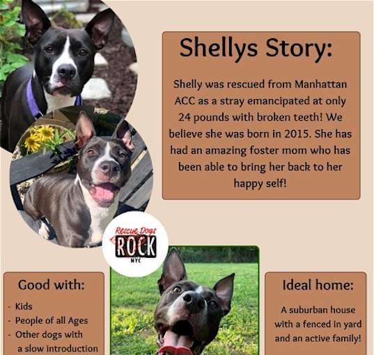Photo of Shelly