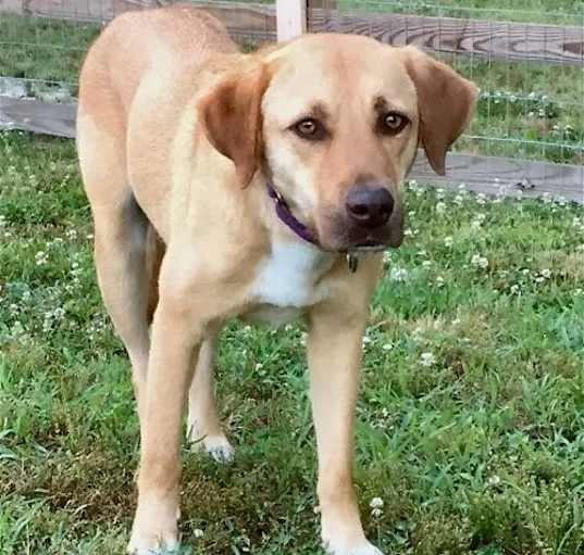 Photo of Lila (GA)