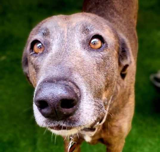 Photo of Blue