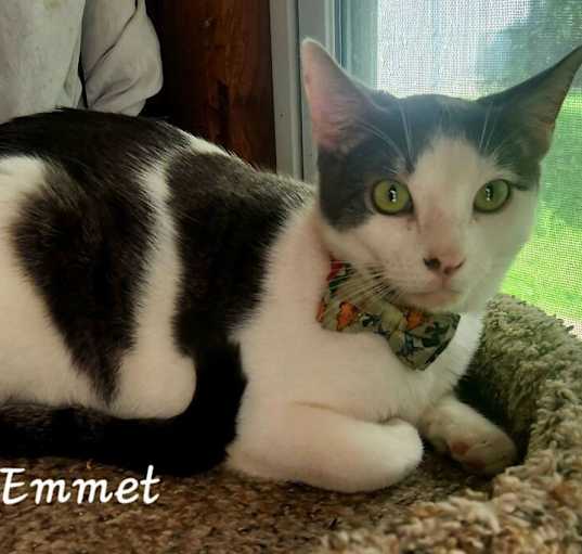 Photo of Emmett 6787