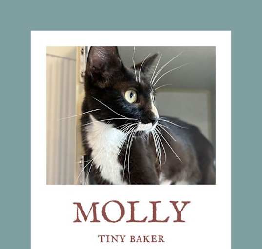 Photo of Molly