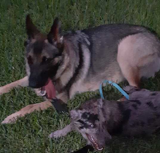 Photo of Nanami and Levi