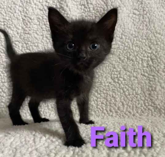 Photo of Faith