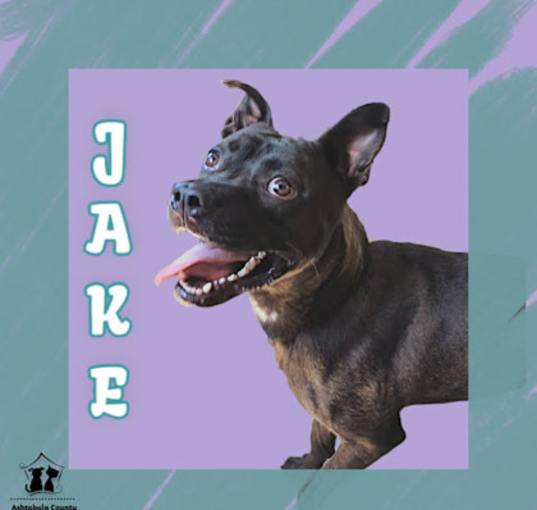 Photo of Jake