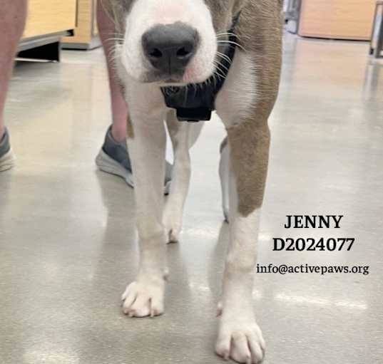 Photo of Jenny