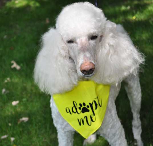 Photo of TUCKER