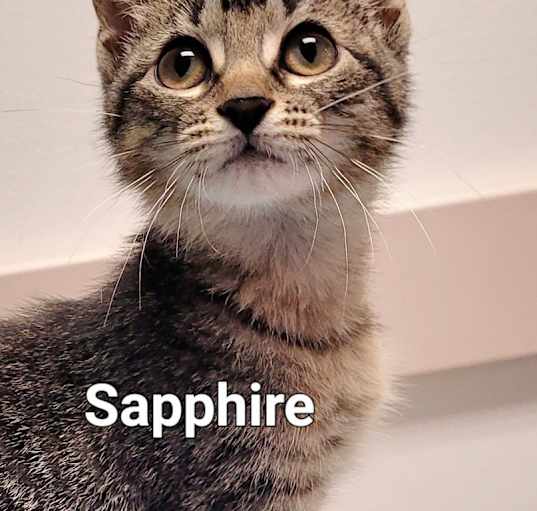 Photo of Sapphire