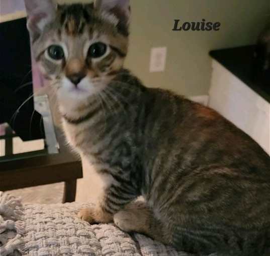 Photo of Louise (24-627)