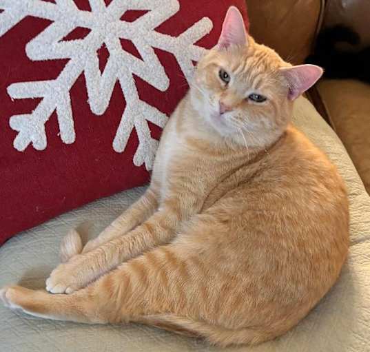 Photo of Jonesy