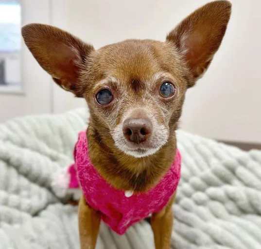 Photo of Wilma