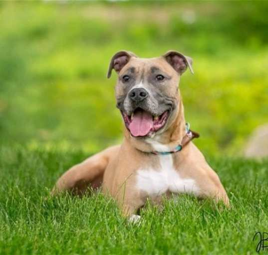 Photo of Sugar D5485