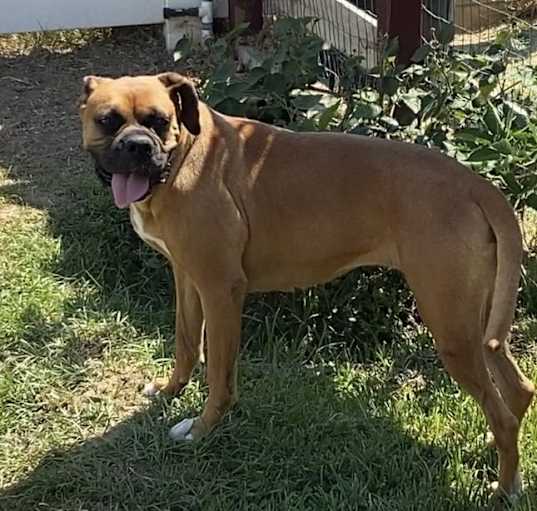 Photo of Roxie