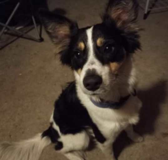 Photo of Lenny