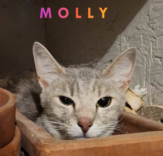 Photo of Molly