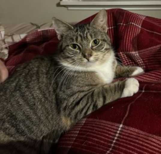 Photo of Harper
