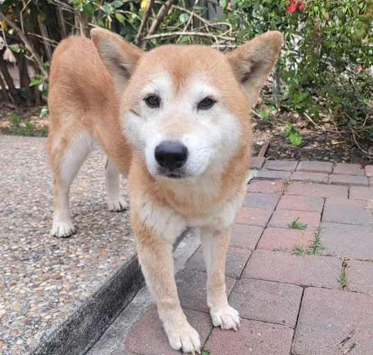 Photo of Nana