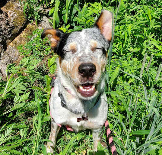 Photo of Baby Blue