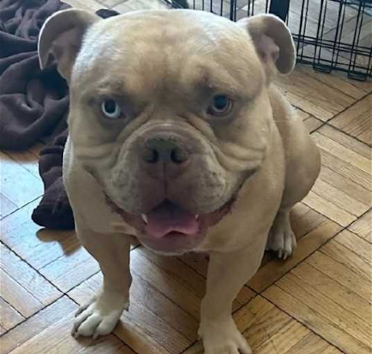 Photo of SIMBA