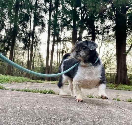 Photo of Gideon (GA)