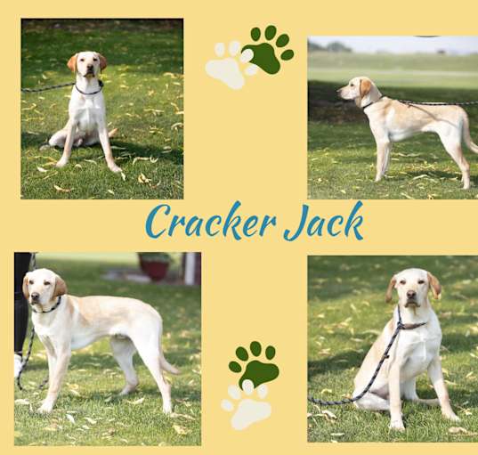 Photo of Cracker Jack