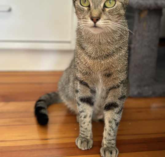 Photo of Eva
